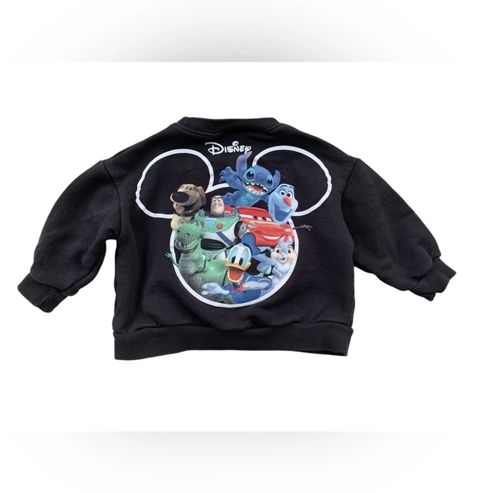 Zara Disney sweater